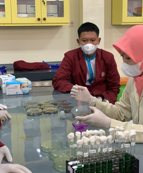 dok fikes laboratorium