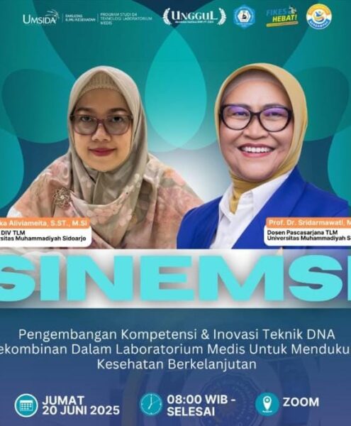 SINEMSI