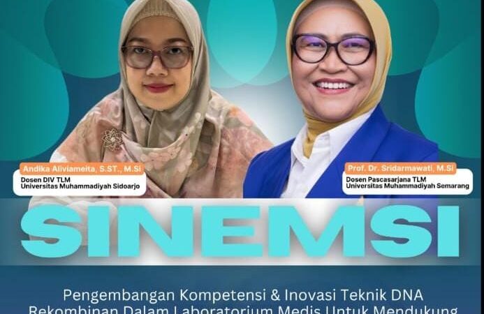 SINEMSI