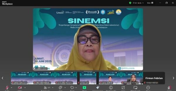 SINEMSI