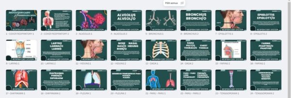 Flashcard