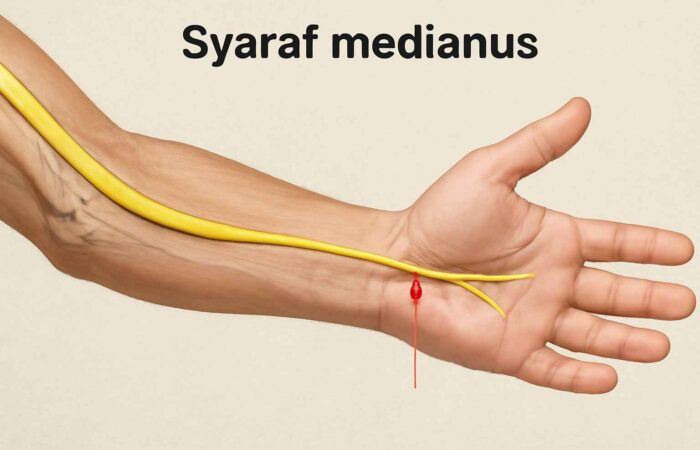 MEDIANUS